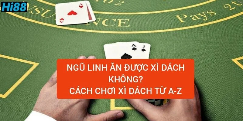 ngu-linh-an-duoc-xi-dach-khong-cach-choi-xi-dach-chi-tiet