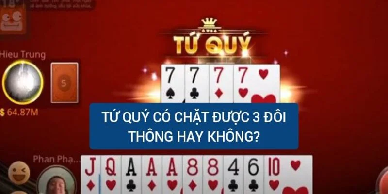 tu-quy-co-chat-duoc-3-doi-thong-hay-khong